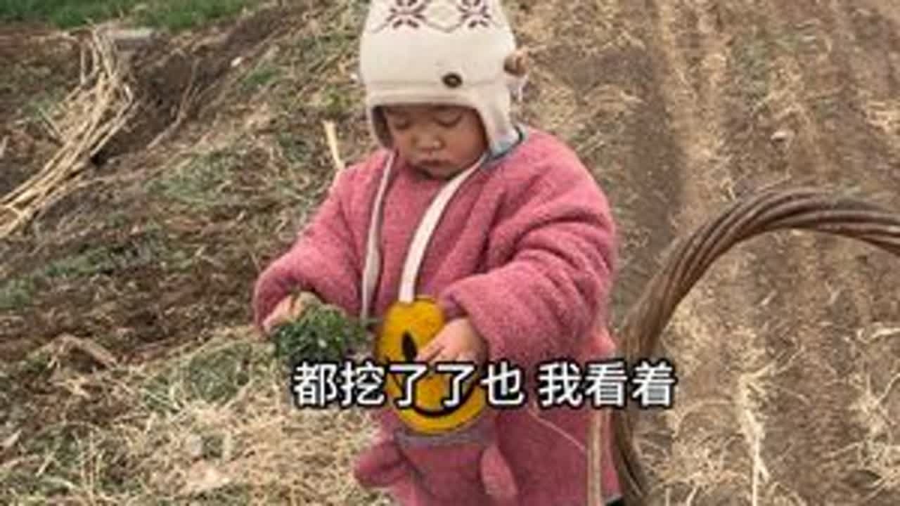 春天万物皆可蒸之面条菜，年味，是餐桌上的大鱼大肉，也是田埂边的一抹青绿，新年的第一口鲜，从挖野菜开始，一口尝鲜，一口尝春蒸野菜，是春天最本真的味道#记录真实生活 #我的乡村生活 #抖音小助手do...