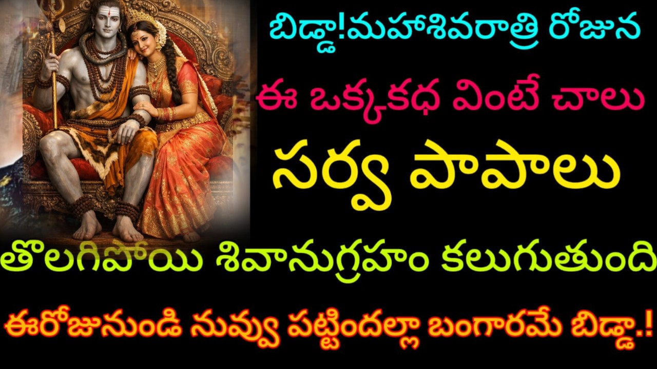 బిడ్డ మహాశివరాత్రి రోజు ఈ ఒక్క కథ వింటే చాలు సర్వపాపను తొలగిపోయి శివానుగ్రహం కలుగుతుంది