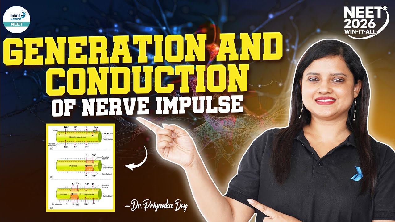 NEET Zoology: Generation and Conduction of Nerve Impulse | Class 11 | NEET 2026 | Dr. Priyanka Ma'am
