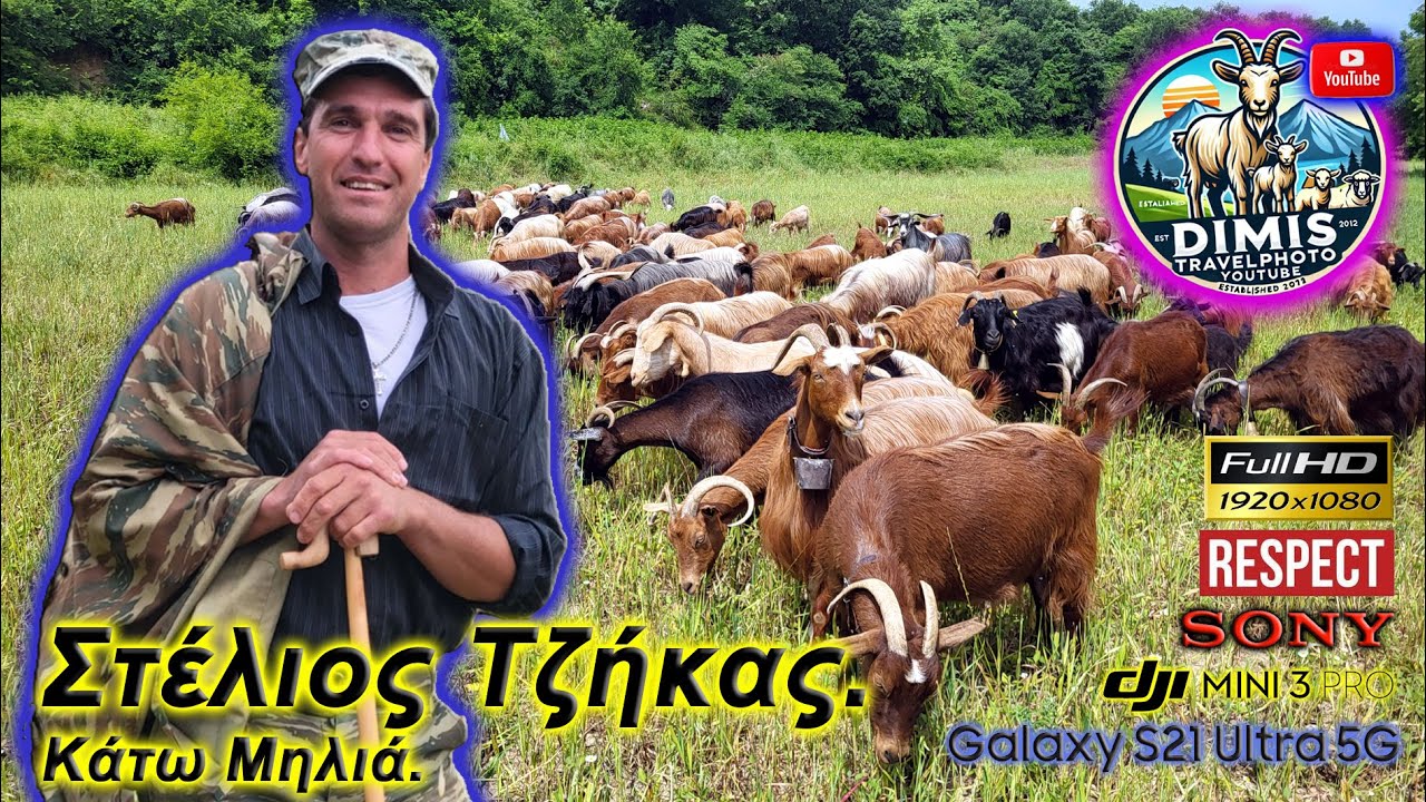 Στέλιος Τζήκας, Κάτω Μηλιά!