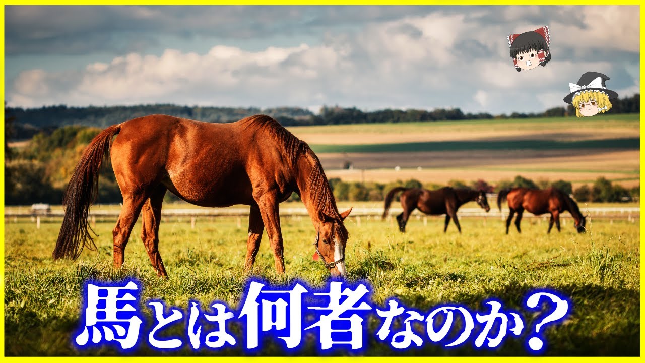 【ゆっくり解説】極端で異常な進化…「馬（ウマ）」とは何者なのか？を解説/野生馬と家畜馬と競走馬の違いとは？人類史を変えた生物の生態