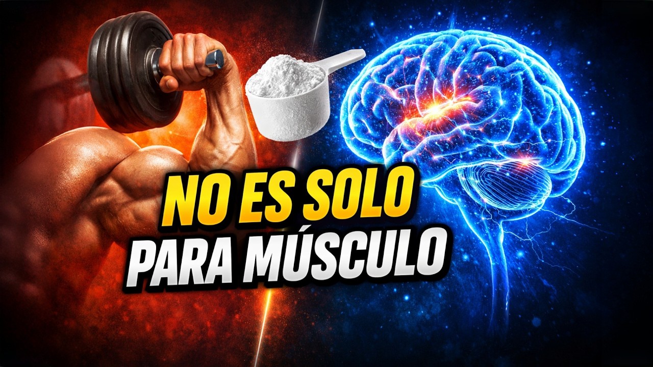 Creatina y salud: más allá del músculo