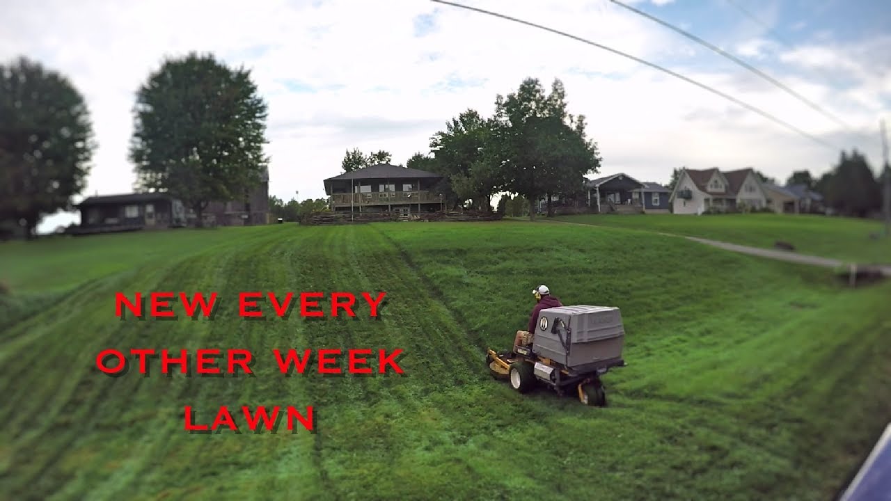 New every other week lawn