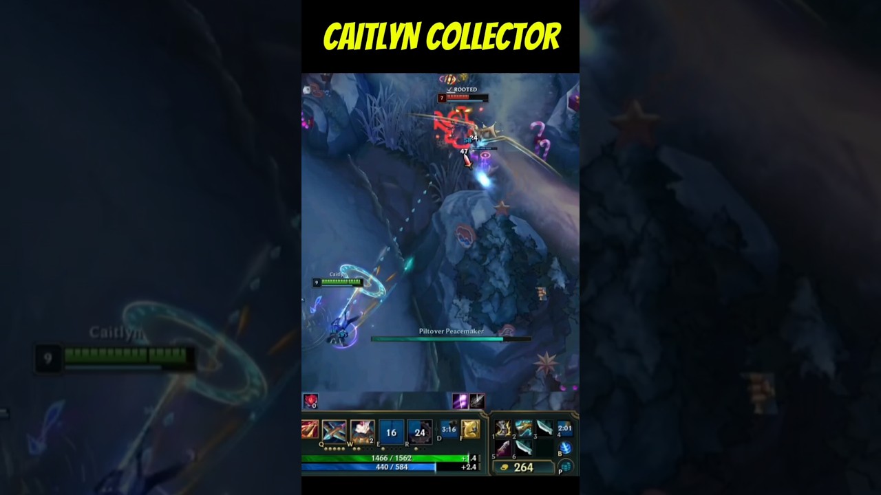 CAITLYN COLLECTOR