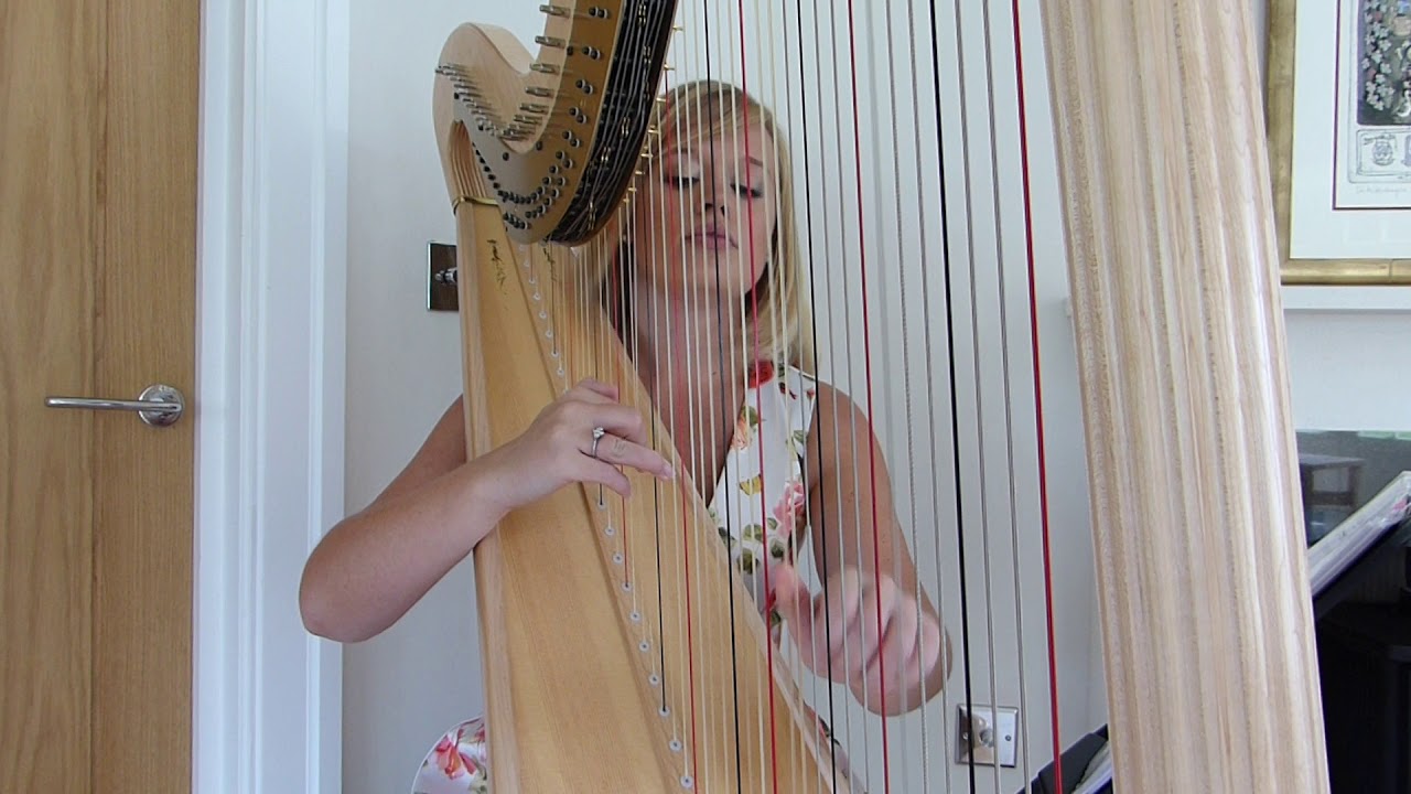 Can You Feel The Love Tonight, by Elton John - performed by Nicola Veal Harpist