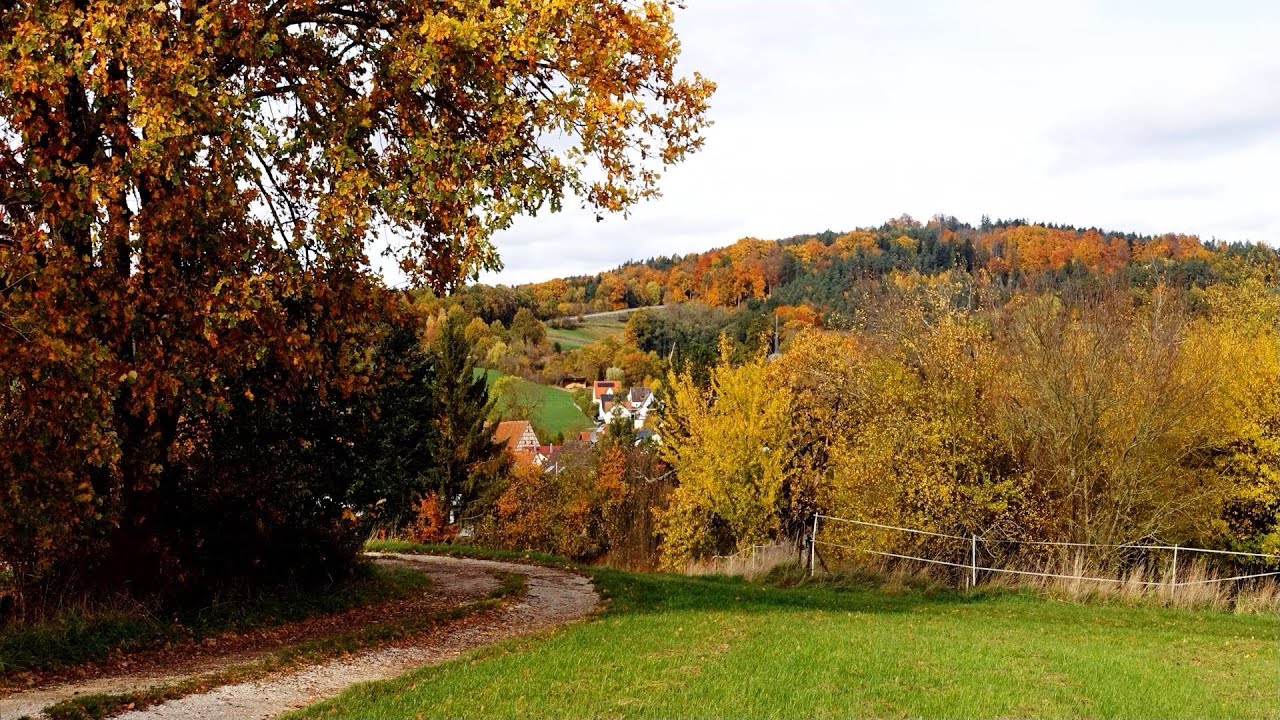 Herbst in Franken- 