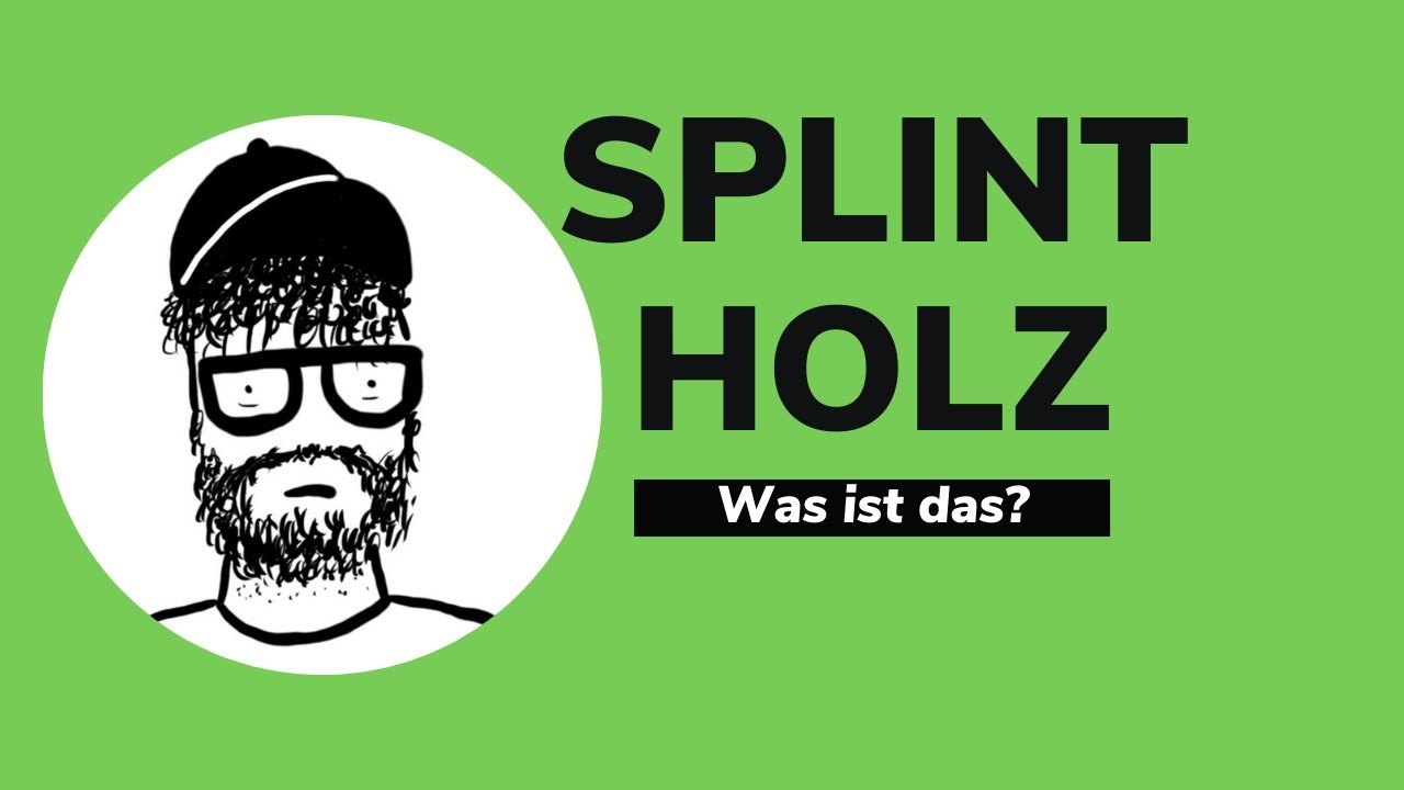 KFKA#6 - Was ist Splintholz (und Kernholz)? | Schreinerwissen | puradietischler