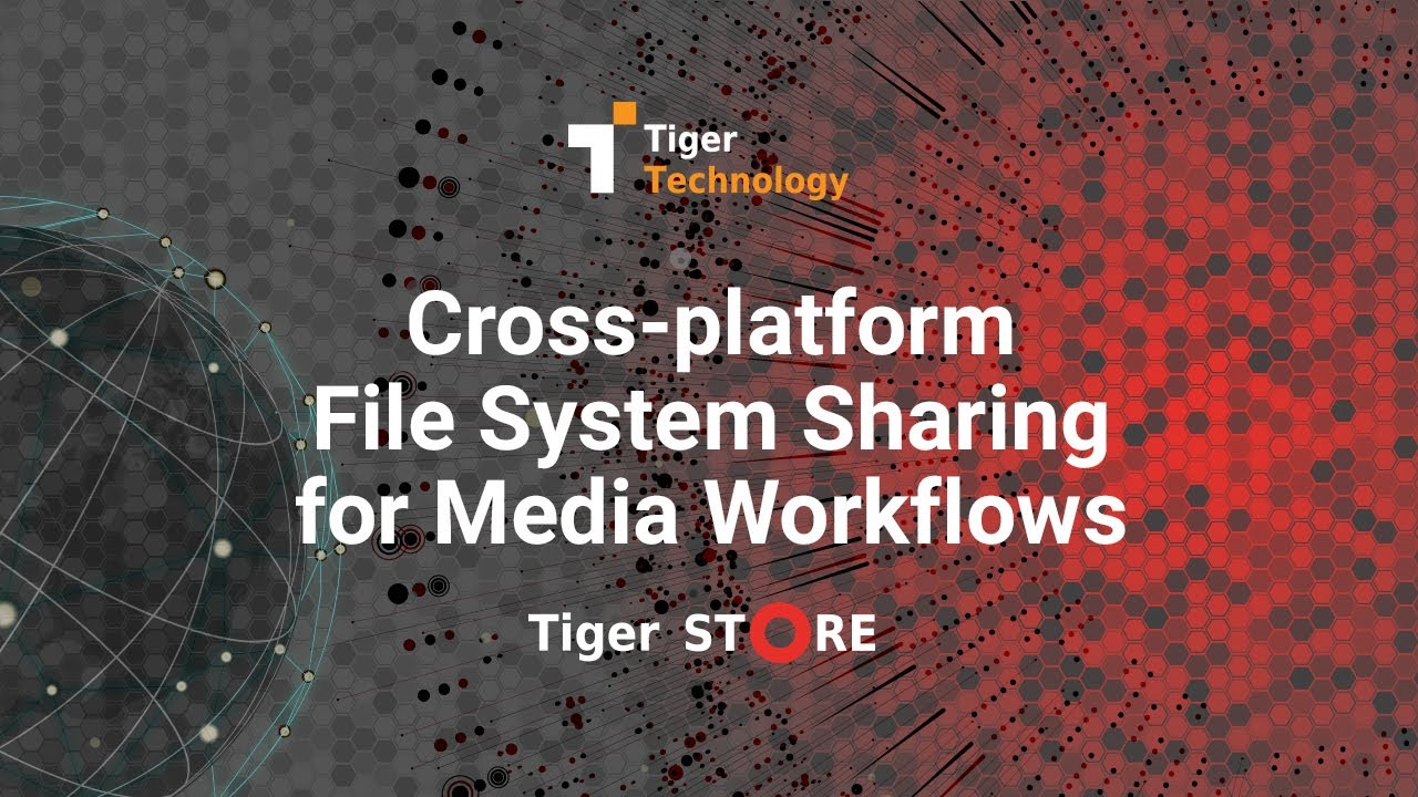 Tiger Store Quick Overview