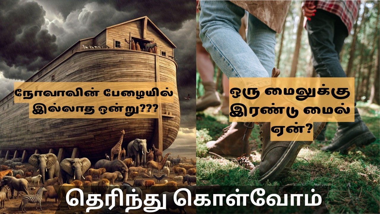 நோவாவின் பேழையில் இல்லாத ஒன்று || ஒரு மைலுக்கு இரண்டு மைல் ஏன்? || தெரிந்து கொள்வோம்