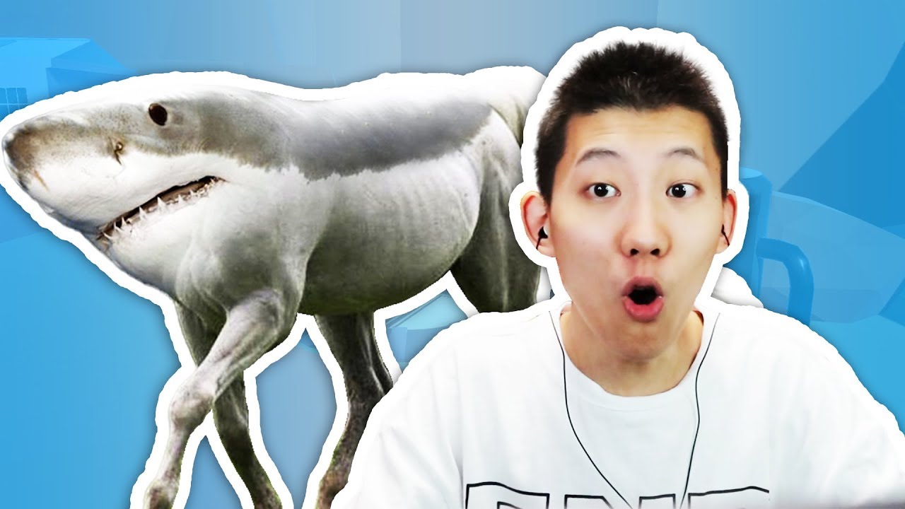 動物融合模擬器，鯊魚和龍會變成什麼？鯉魚Ace解說
