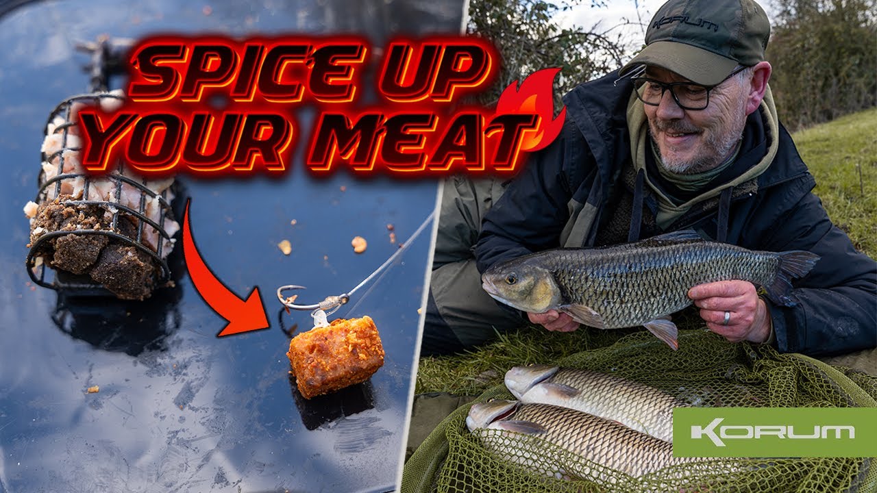 Meat fishing for chub