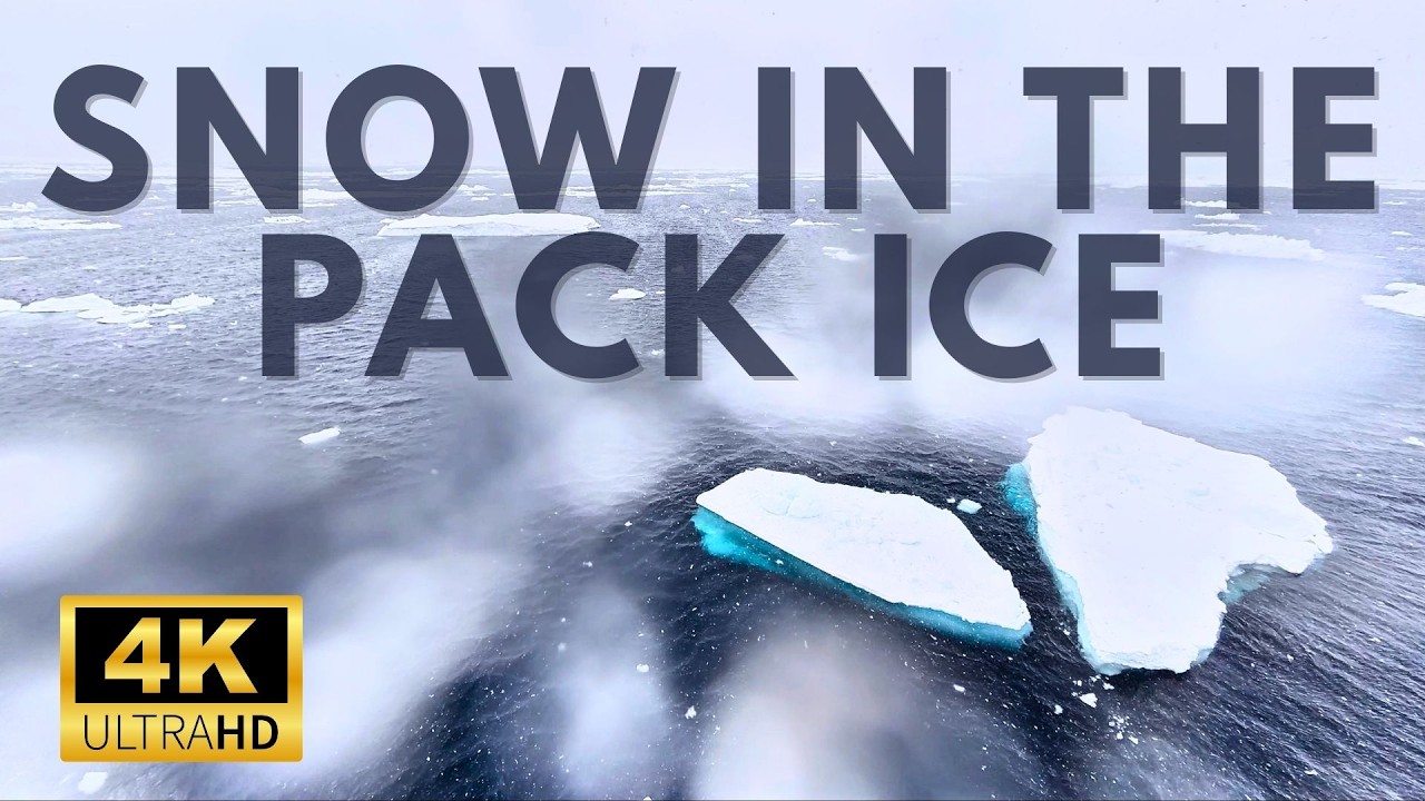 Snow in the Pack Ice Field