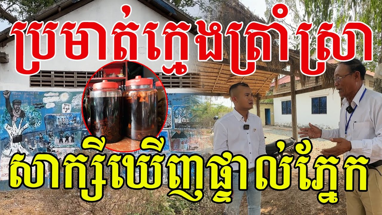 ស្ដាប់ហើយផើតពោះ ពូឃើញផ្ទាល់ភ្នែក ពេលកំពុងឡើងបេះត្នោត
