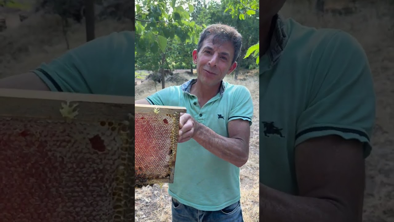 MÜŞTERİ ZİYARETİ 2025-3 ANKARA/KAHRAMANKAZAN KAZIM BEY