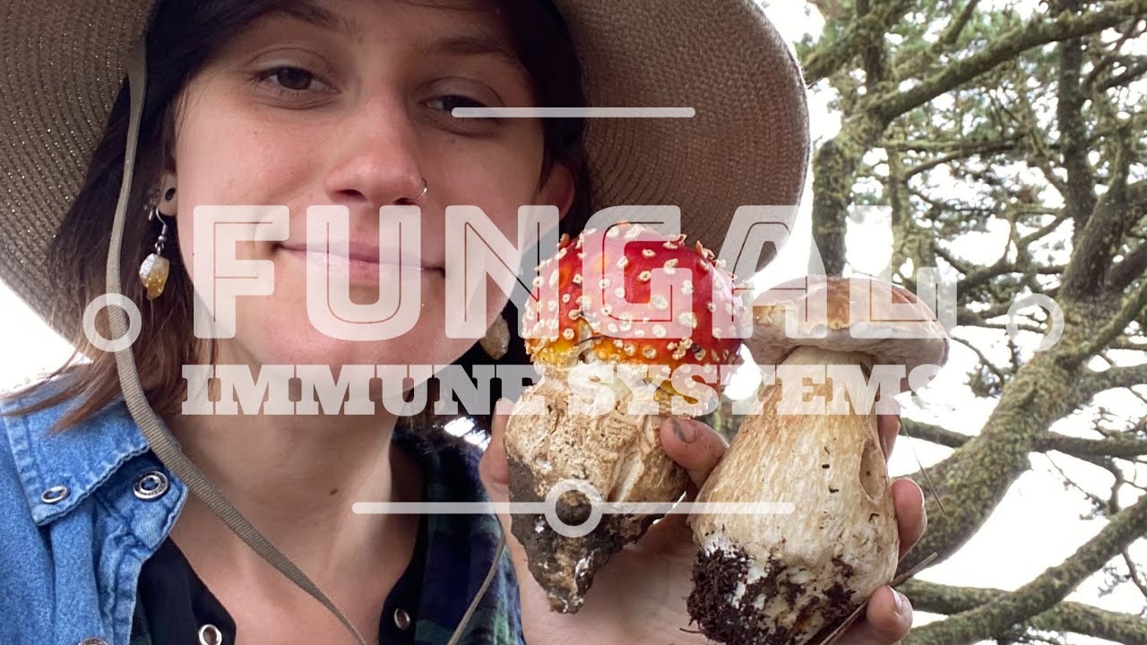 Fungal Immune Systems with Grace Stark