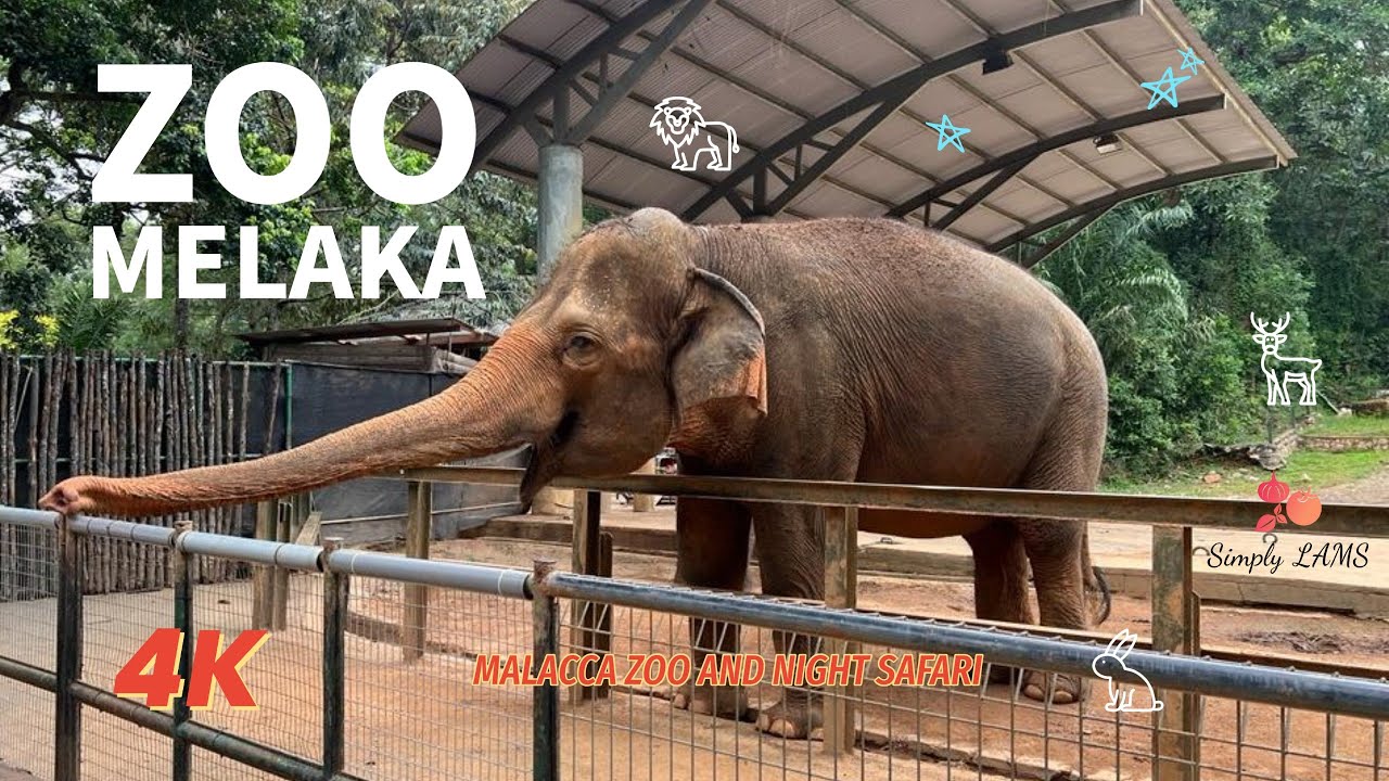 Zoo Melaka I SimplyLAMS