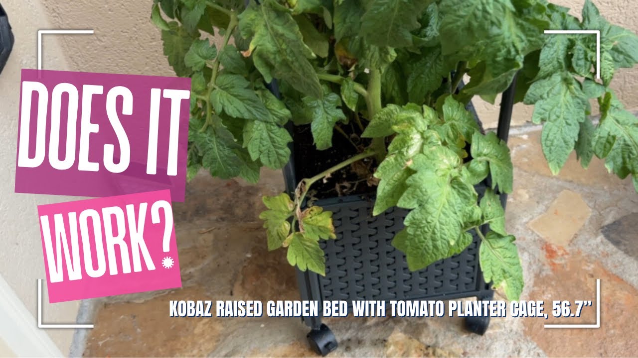 Kobaz Raised Garden Bed with Tomato Planter: Easy Assembly and Mobility