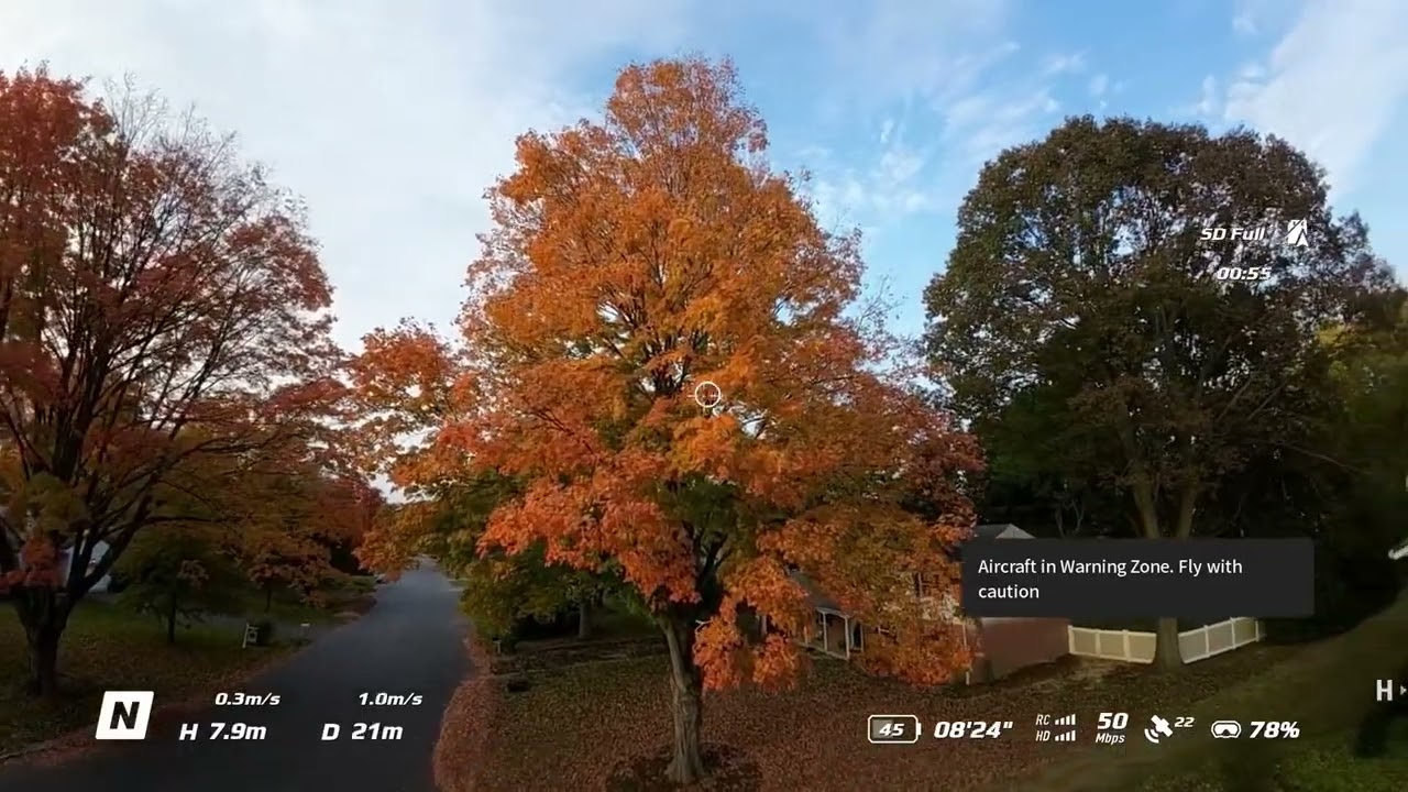 Fall ‘24 Leaf Surfing and Skateboarding