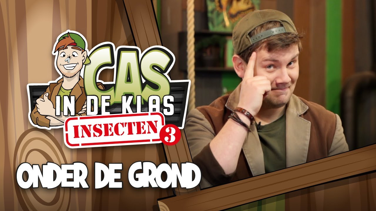 Insecten onder de grond 🐜 -- Leren met Cas in de Klas - Kinderpretpark Julianatoren