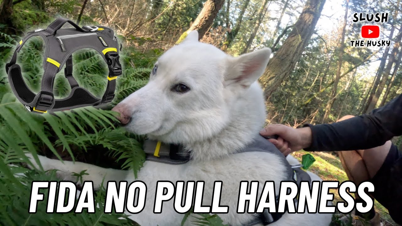 FIDA No Pull Dog Harness: Does It Really Work?