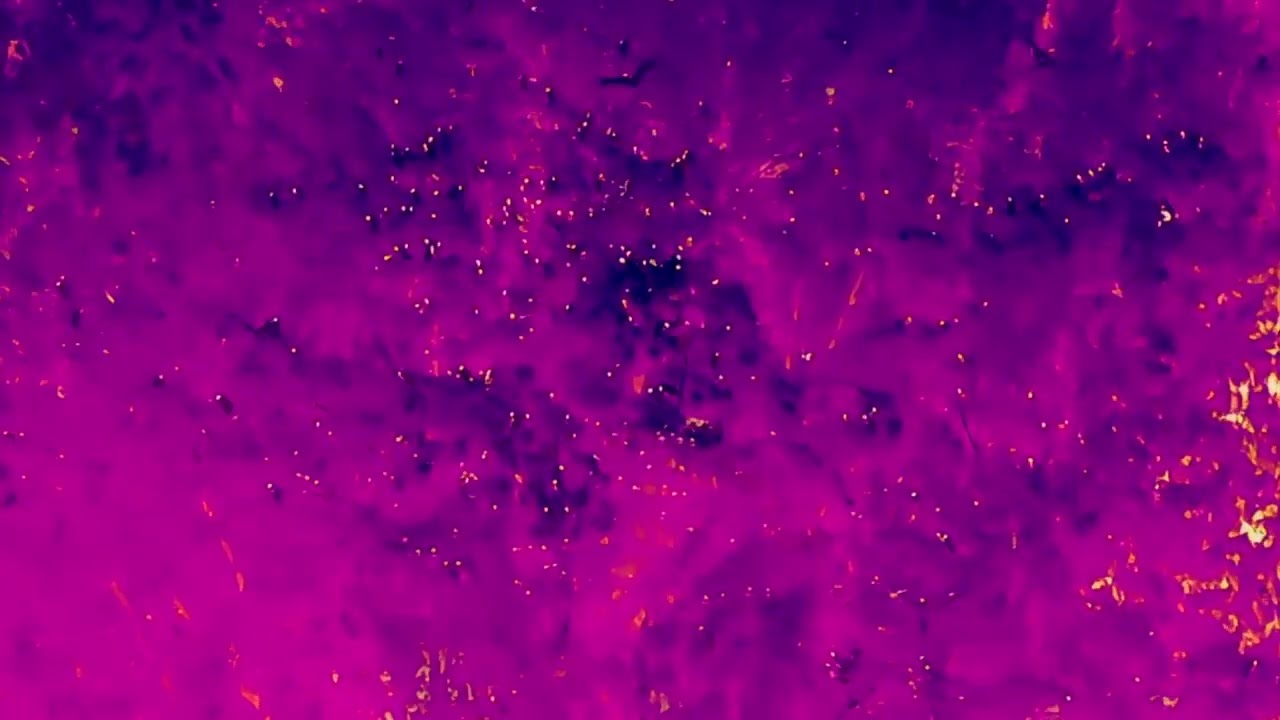 Turkey Vulture Overnight Roost | Rare Thermal Footage