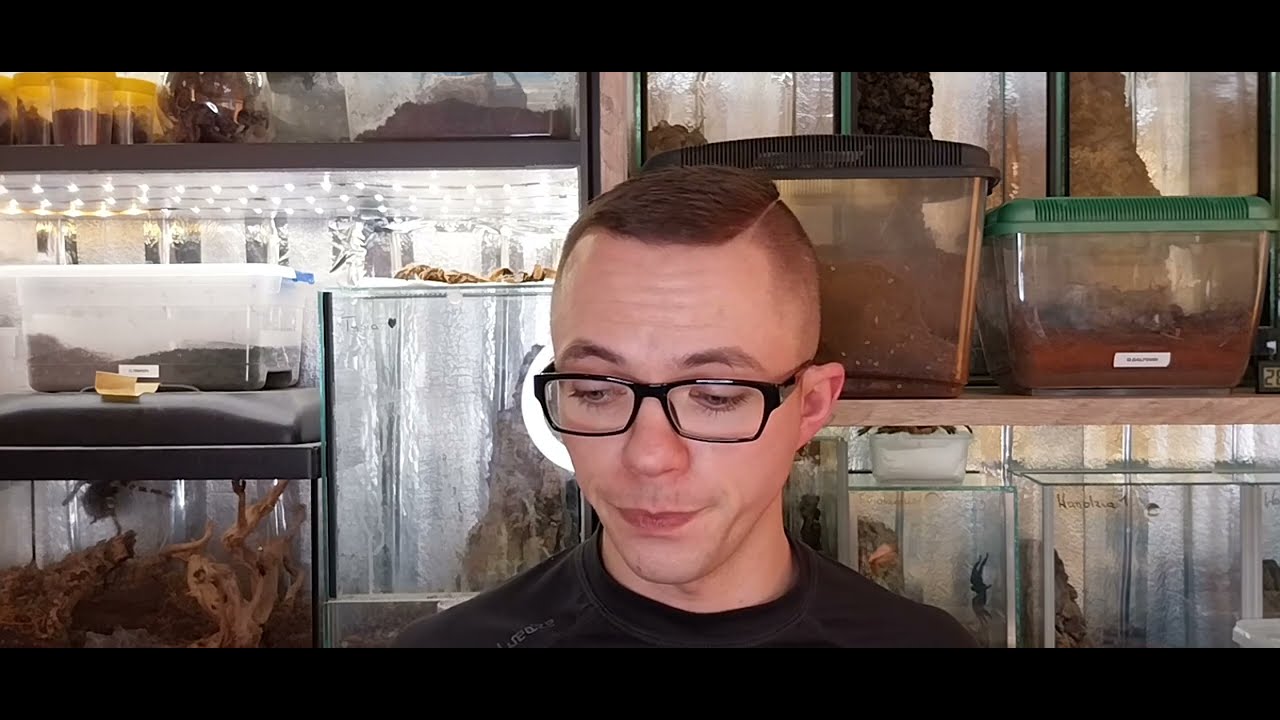 Szybki transfer niepsodzianka