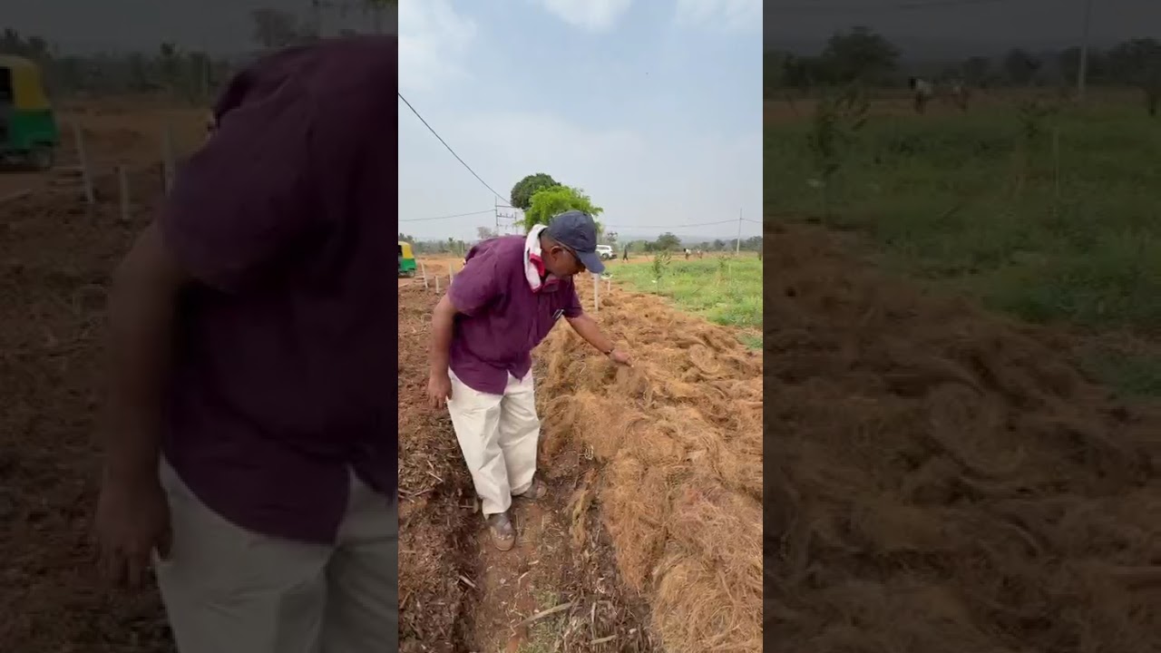 ಸಾವಯವ ಗೊಬ್ಬರ ತಯಾರಿಕೆಯ ಮಜಲುಗಳು. ಸೋಮನಹಳ್ಳಿ ಫಾರಂ. ದಿ. 01.03.2026