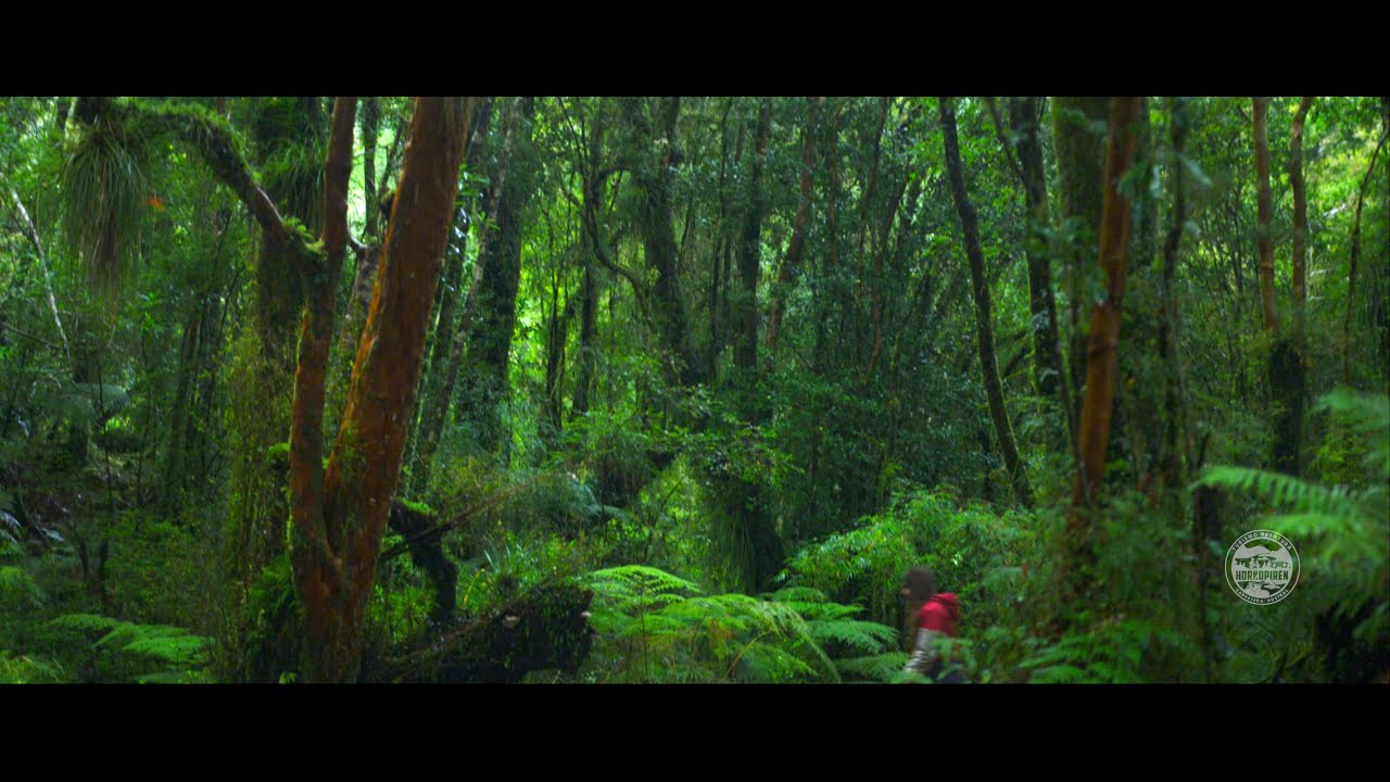 Hornopiren, Pumalín | Live Rivers