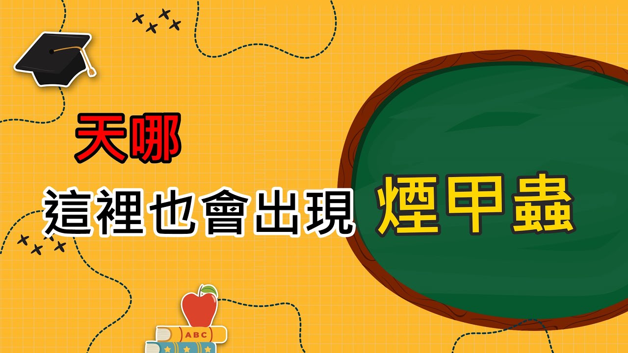 硬殼咖啡色小蟲滅不完？                  潔適能消毒公司：0800-775-000 #煙甲蟲 #菸甲蟲