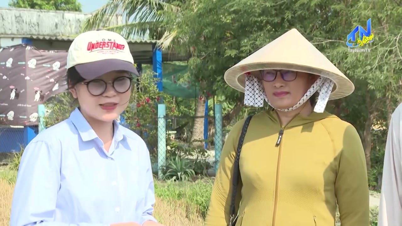 Diện mạo mới tuyến đường Long Ninh – Rạch Đào những ngày đầu xuân