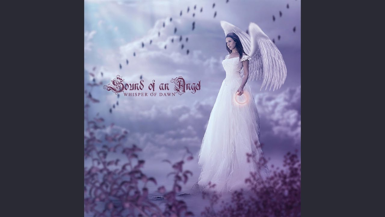 Broken Wings