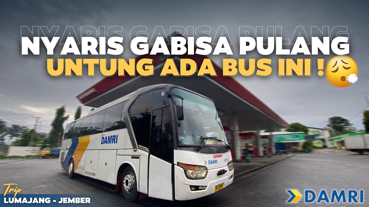 DAPAT TUMPANGAN GRATIS NAIK BUS INI 😁 Bareng Bus Damri Lumajang - Denpasar