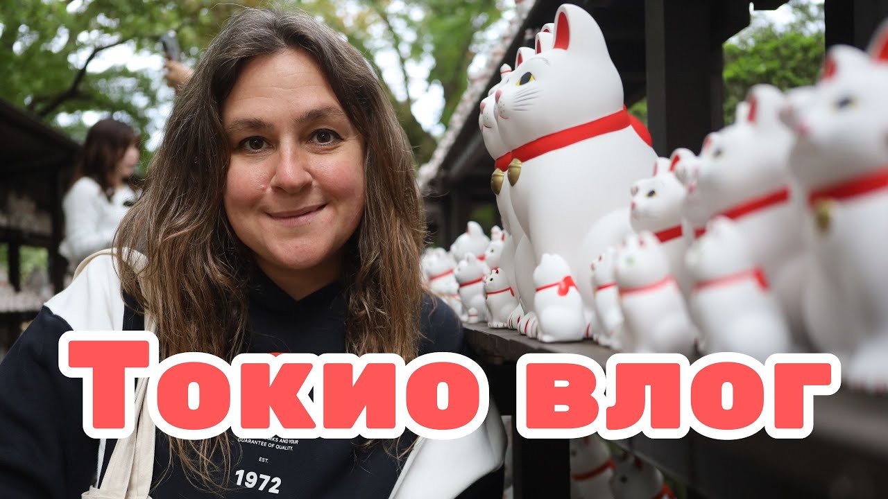 Токио влог: снова в любимом городе! Живем в Shinjuku, гуляем по Asakusa, Nakameguro и Akihabara.