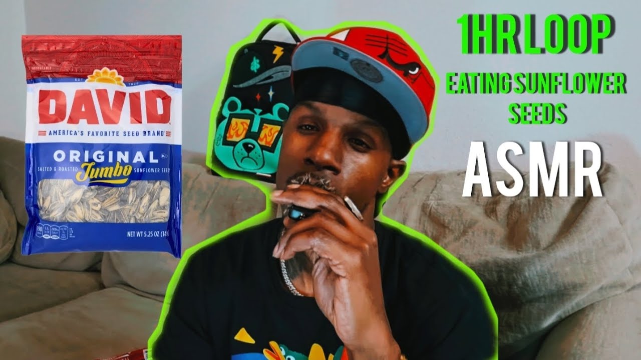 (1hr Loop) Eating Sunflower seeds and counting with alphabets and air painting [Asmr]