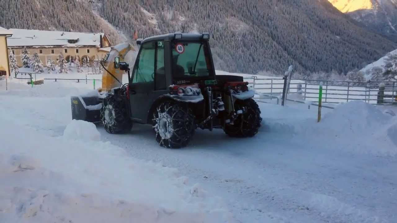 Aebi im Winter