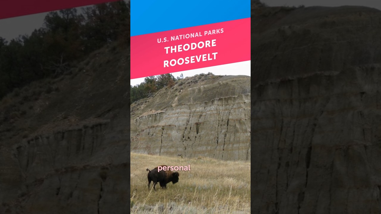 3-Minute Guide to Theodore Roosevelt National Park
