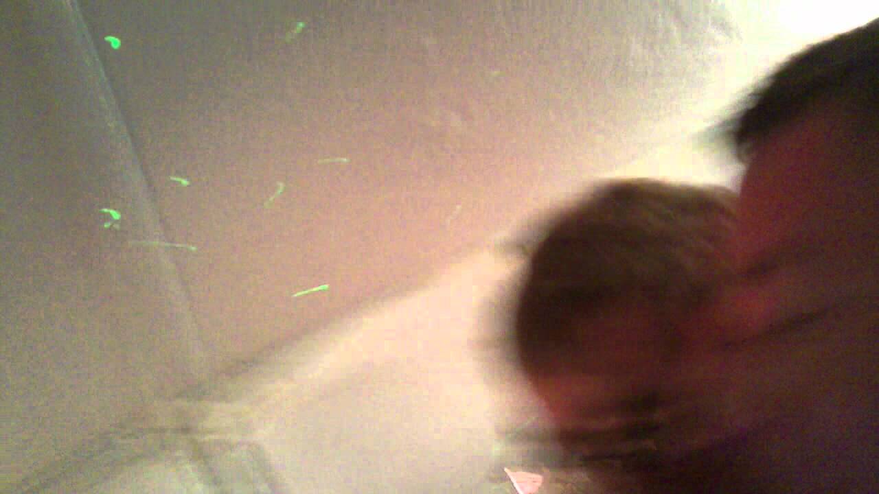 Badminton Birthday Rave.