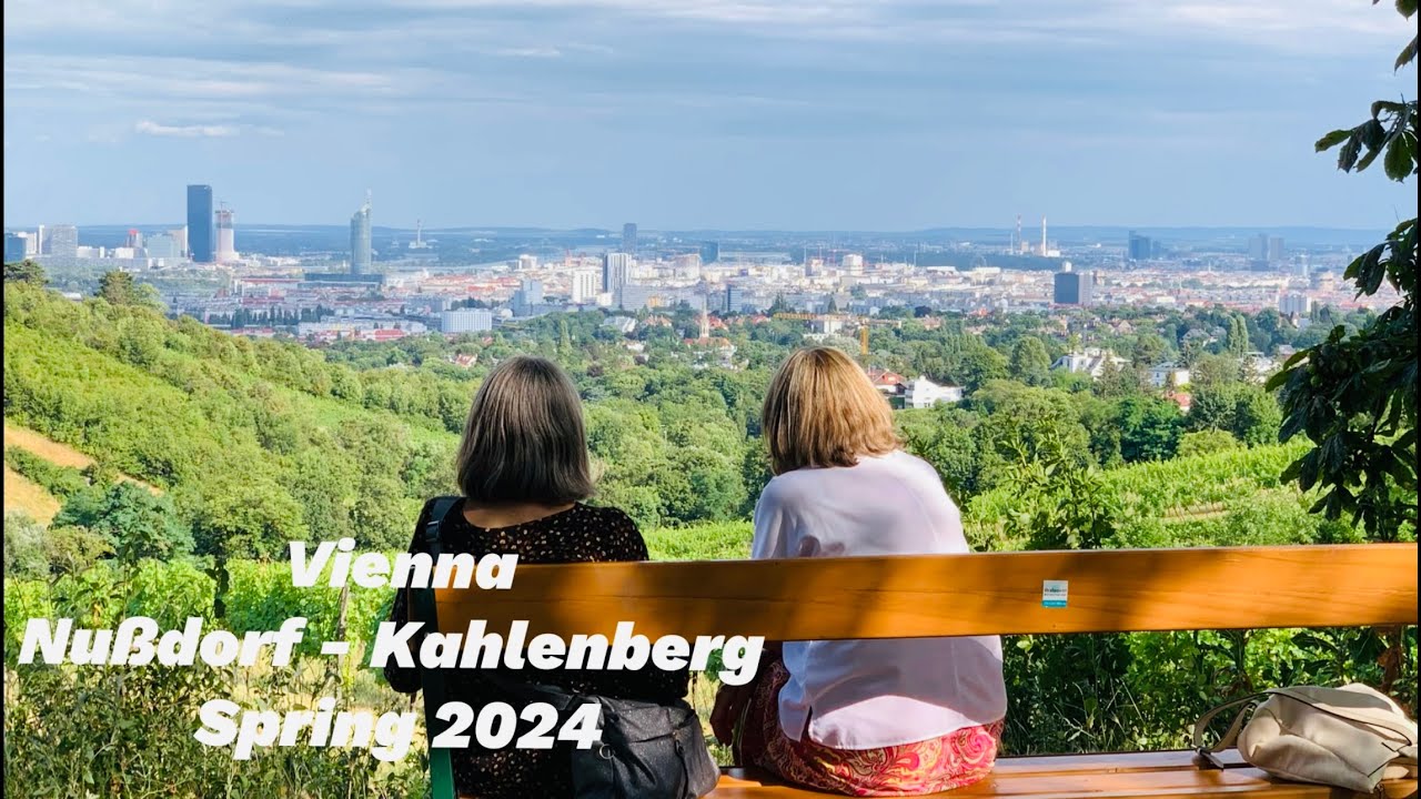Walking from Nussdorf Station to Kahlenberg | Summer 2024 Forest & Vineyards Journey in Vienna