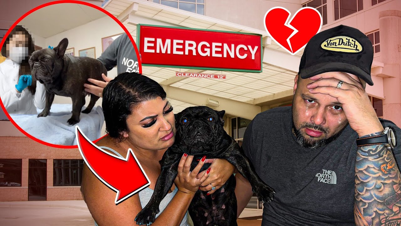 WE RUSHED Our DOG To The HOSPITAL! **EMOTIONAL**