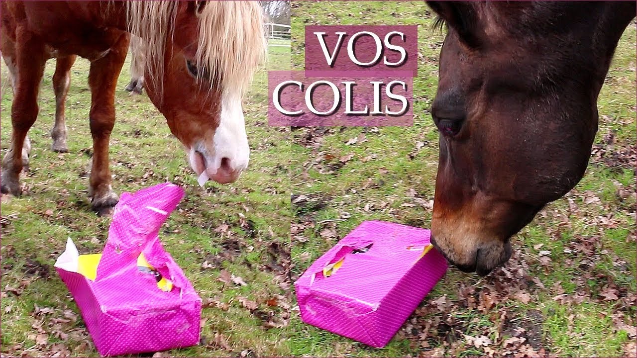 BALY ET ACE OUVRENT VOS COLIS !! - Lettres et colis