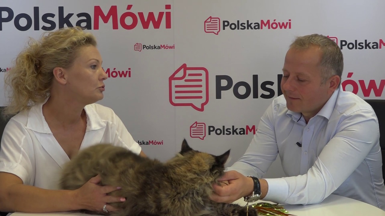 Jak wybrać rasę kota dla siebie radzi hodowca Anna Matwiejczuk.