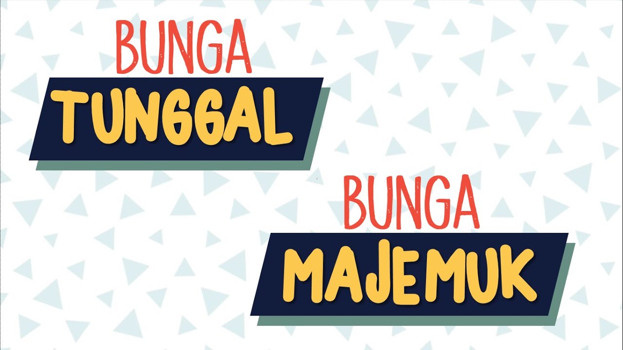 Bunga Tunggal dan Bunga Majemuk