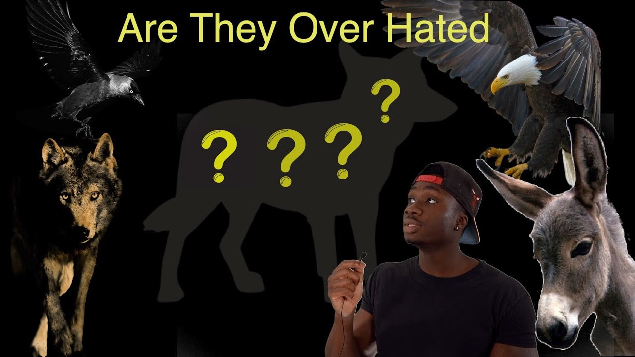 Why America's Most Hated Animal is Underrated