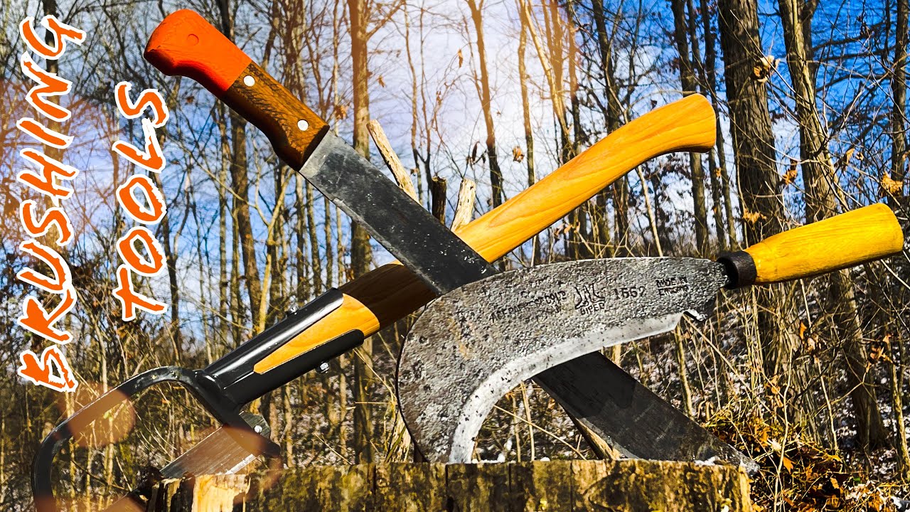 Testing Three Brushing Tools for Woodland Work: Billhook, Machetes, Sandvik