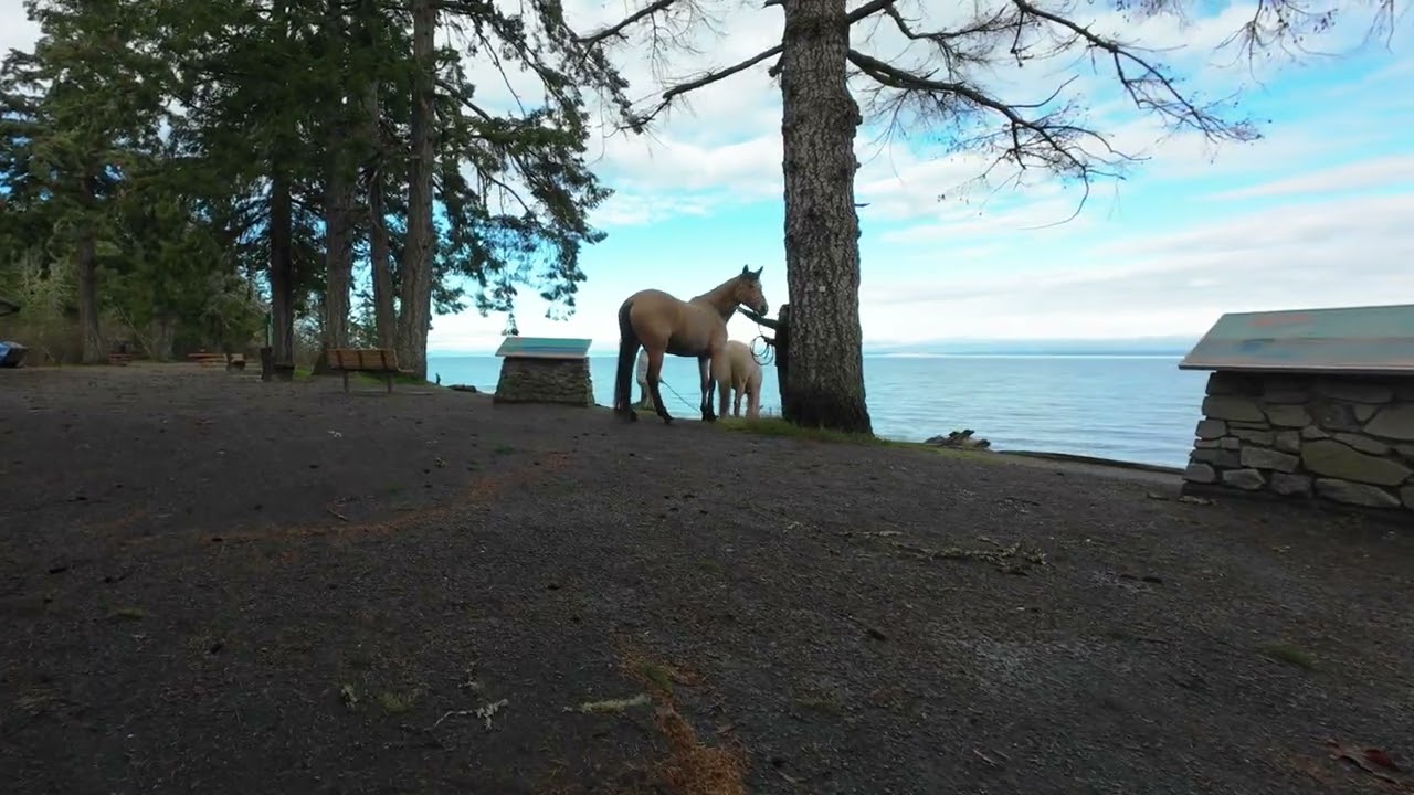 Comox Valley Presentation