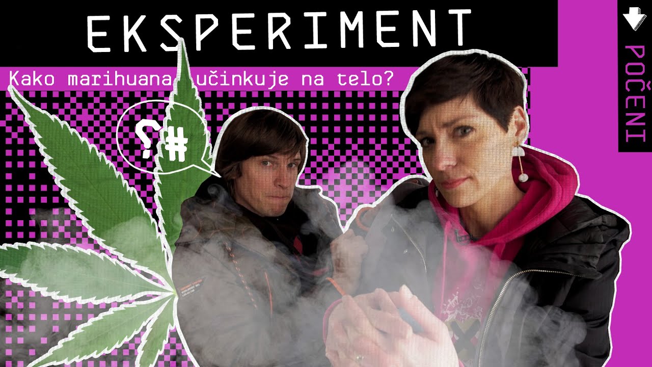 Kako poči marihuana? I Počeni I OSVEŽILNA FRONTA