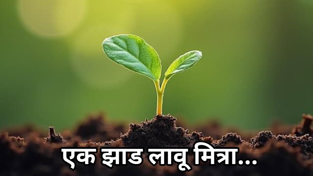 एक झाड लावू मित्रा....         जि.प.प्राथमिक शाळा विठ्ठलवाडी (भिवरी),ता.पुरंदर,जि.पुणे