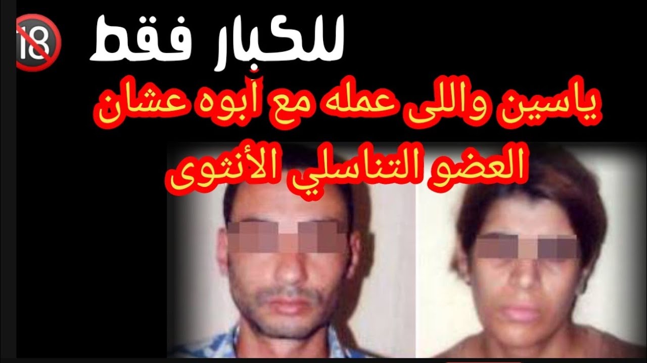 العضو التناسلي الانثوى وياسين اللى بقى ياسمين 