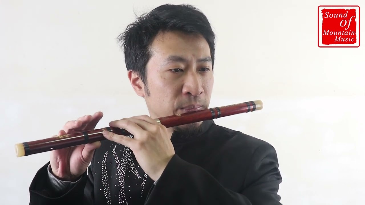Professional Rosy Sandalwood Chinese Flute Dizi Instrument with Accessories 笛子