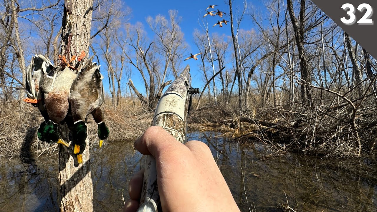 DUCK HUNTING Flooded Timber | LAST HUNT Of The Season